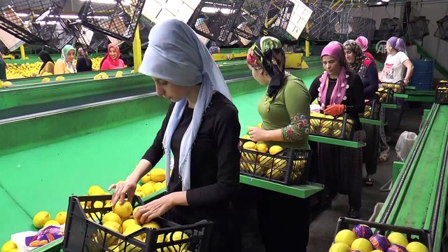 Kalkınma Bakanı Elvan: 'Sana oyu Amerika vermeyecek, bu millet verecek' - MERSİN