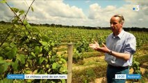 Chambord : le château privé de son nom