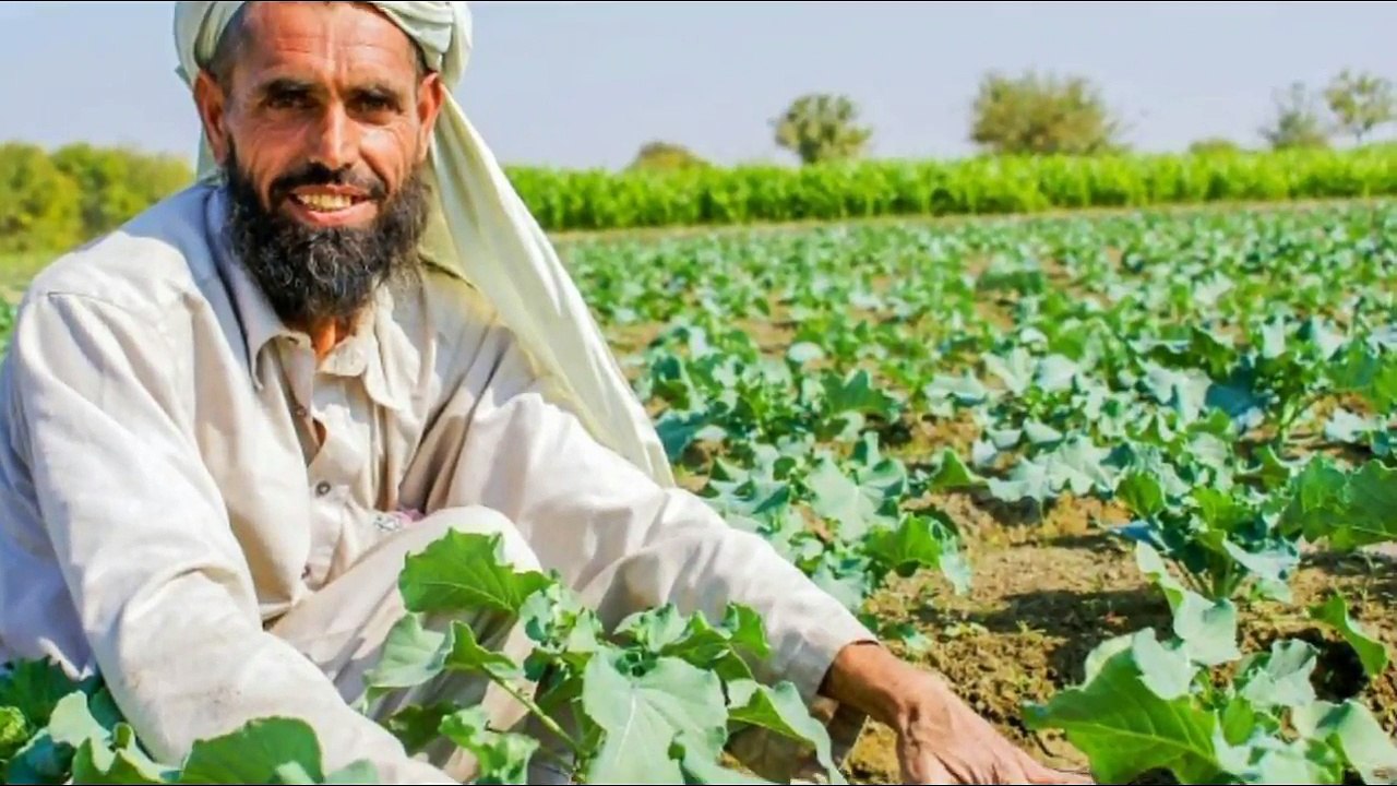 Afghanistan -- Afghanistan Shocking and Amazing Facts in Hindi-Urdu