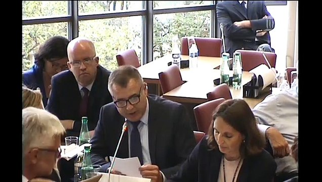 Commission des affaires étrangères : M. Jean-Baptiste Lemoyne, Secrétaire d’État auprès du Ministre de l’Europe et des Affaires étrangères - Mardi 5 juin 2018