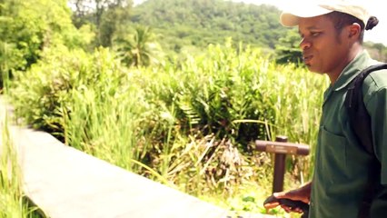 Découvrez une video ou l'Equipe du Banyan Tree Seychelles danse au rythme du séga #DonMonnAnkorEnSanss#ExtraBig#SegaPiké. Le séga Seychellois qui vous donne env