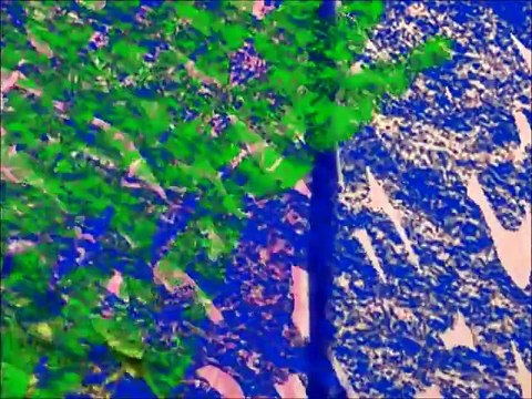 Elmos World: Pets (Edited)