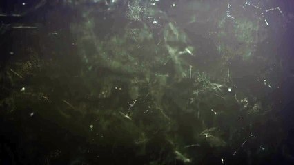 온라인바카라사이트〔⊙)≻ ONE11.TK ≺(⊙〕슈퍼카지노