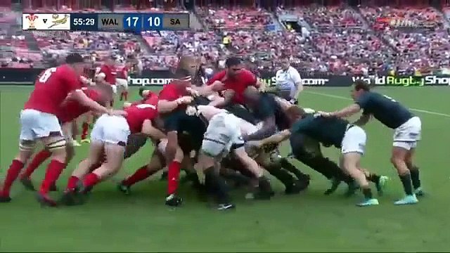 Le Pays de Galles s'offre les Springboks