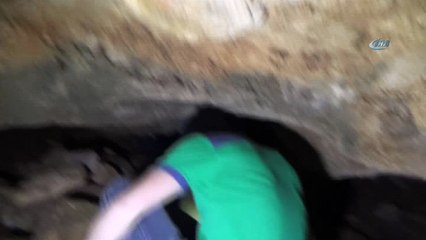 Adıyaman'da yarasa mağarası bulundu