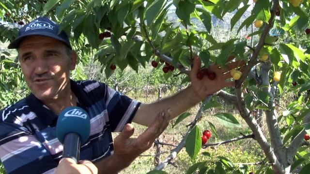 Bir dalda iki kiraz 'biri al biri beyaz'