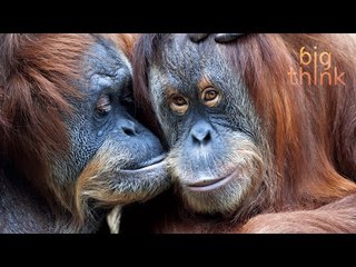 The Science of Compassion: Kindness Is a Fundamental Human Trait