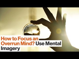 Build Mental Models to Enhance Your Focus | Charles Duhigg