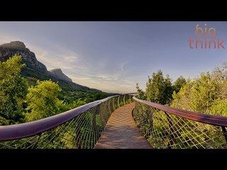 Jason Silva: Today's Design Decisions Author the Brains of Tomorrow