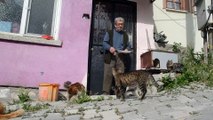 Sokak kedilerine hem evlerini hem gönüllerini açtılar - KÜTAHYA