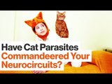 How Parasites Commandeer and Change Our Neurocircuits | Kathleen McAuliffe