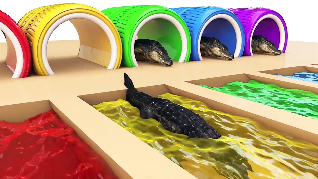 Learn_Colors_with_Baby_Shark_Dance_Finger_Family_Songs_Water_Slide_Nursery_Rhyme