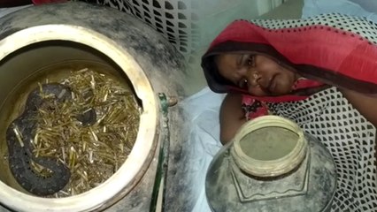 जिस सांप ने काटा उसे लेकर पहुंची अस्पताल, डॉक्टर भी रह गए हैरान