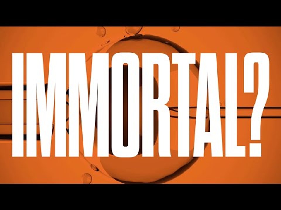 Can Stem Cells Reverse Aging? With Dr. David Agus