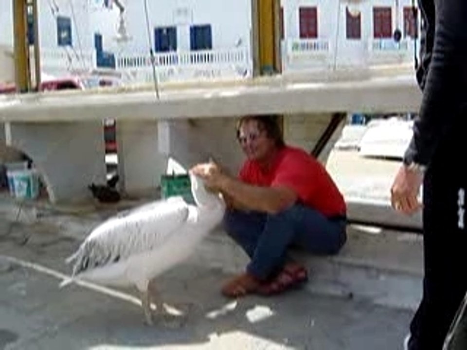Mykonos4