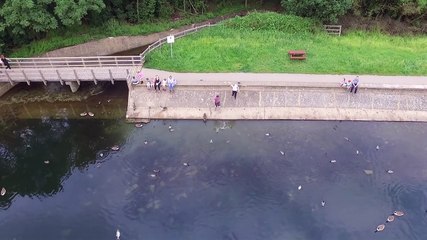 Drone suya düşmesin diye kendini feda etti