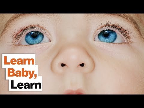 Babies Are Master Learners: How Adults Can Stimulate Their Innate Learning Skills | Janet Lansbury