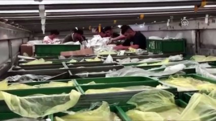 Göçmenleri kaçırmak için alüminyum folyoya sardılar - İSTANBUL