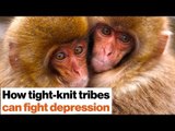 Loneliness kills: How to fight depression with social support | Johann Hari