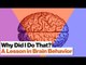3 Brain Systems That Control Your Behavior: Reptilian, Limbic, Neo Cortex | Robert Sapolsky