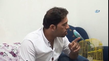 Bu Kuş ''Başkan Tayyip Erdoğan'' Diyor