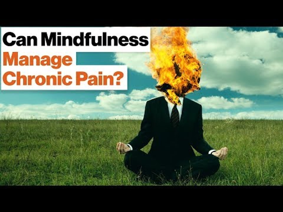 How Meditation Can Manage Chronic Pain and Stress | Daniel Goleman