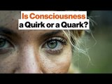 Everything Is Made of Quarks—Why Are Only Some Things Conscious? | Max Tegmark