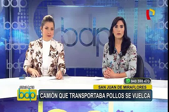 SJM: camión que transportaba pollos se volcó en plena Panamericana Sur