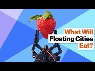 No Food, No Utopia: How Will Floating Cities Survive?