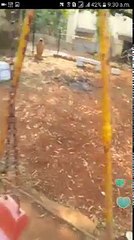 new imo mobile video live call 2707