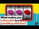 What makes you vulnerable to a gambling addiction? | Maia Szalavitz