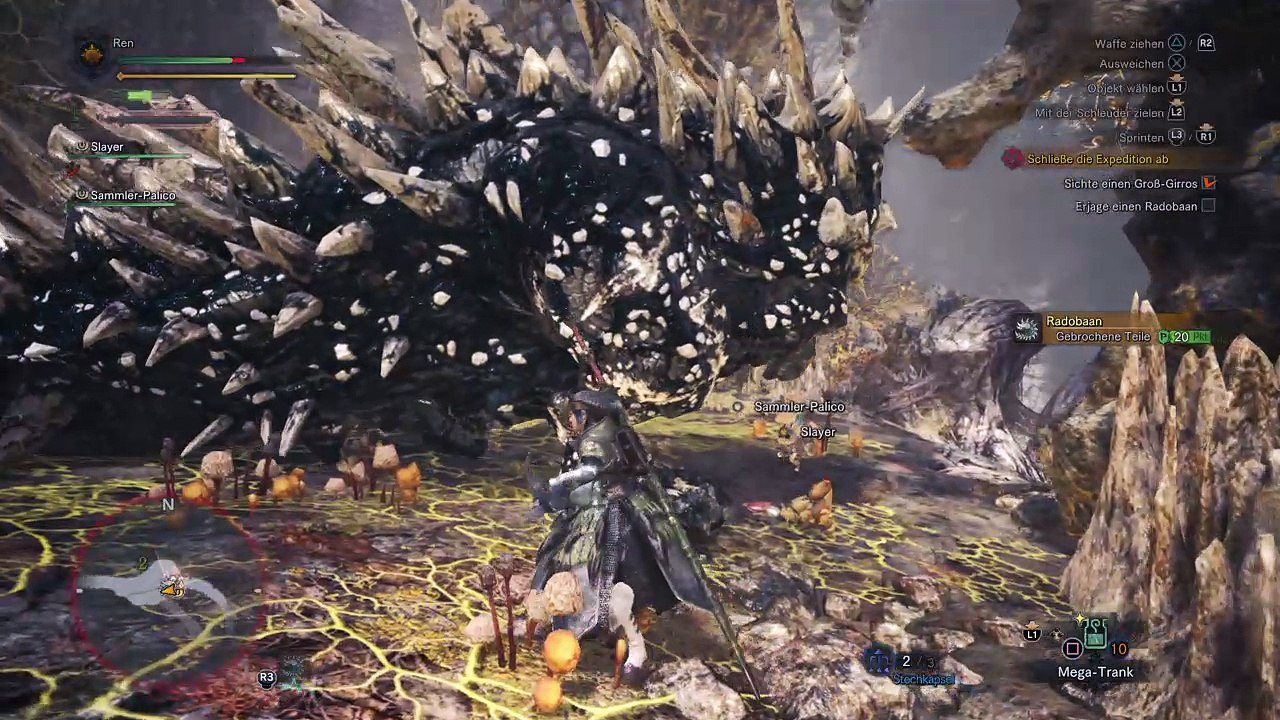 First LS Run vs. Radobaan