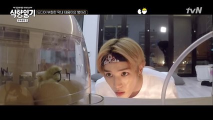 태용이의 꿈★은 이루어진다! 드디어 병아리가 태어났다!