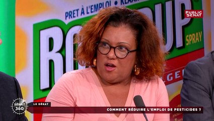 Chlordecone : « Ce pesticide va rester dans nos sols pendant plusieurs centaines d’années » déclare Catherine Conconne
