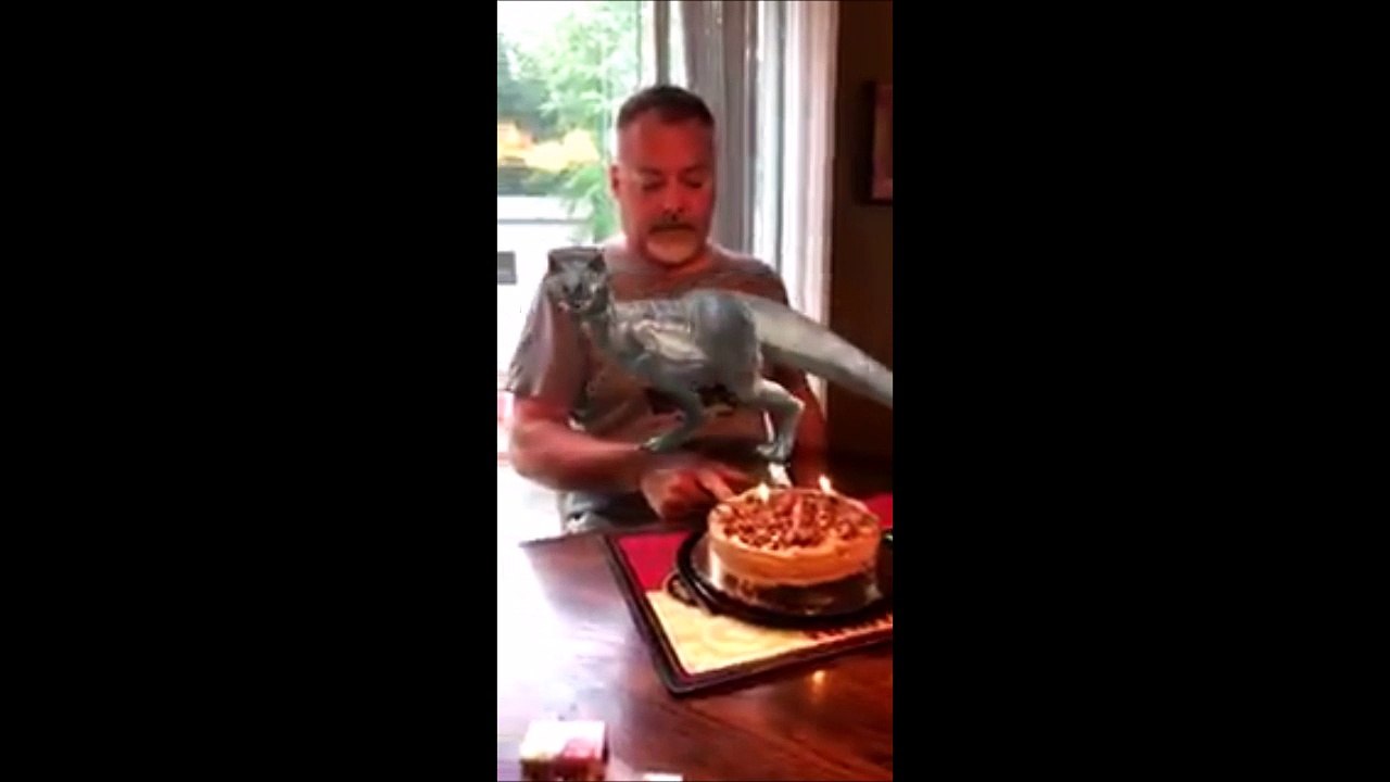 Un filtre Dinosaure qui prend tout son sens quand papa souffle ses bougies