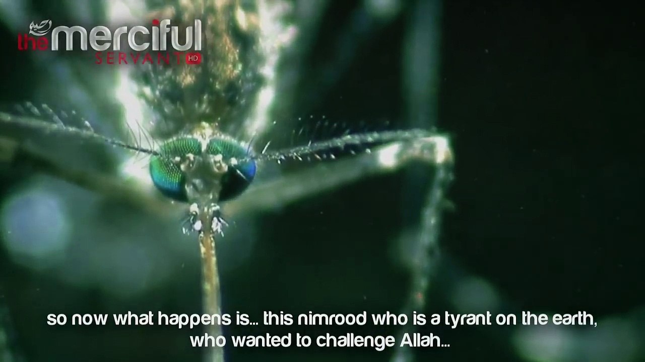 Nimrod The Tyrant Who Challenged God (Allah)