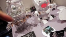 Rapiro, Arduino/Raspberry Pi powered humanoid robot kit