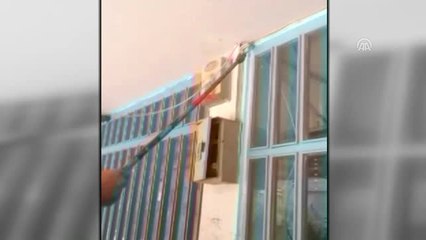 İş Yerine Giren Yılan Çıkarıldı