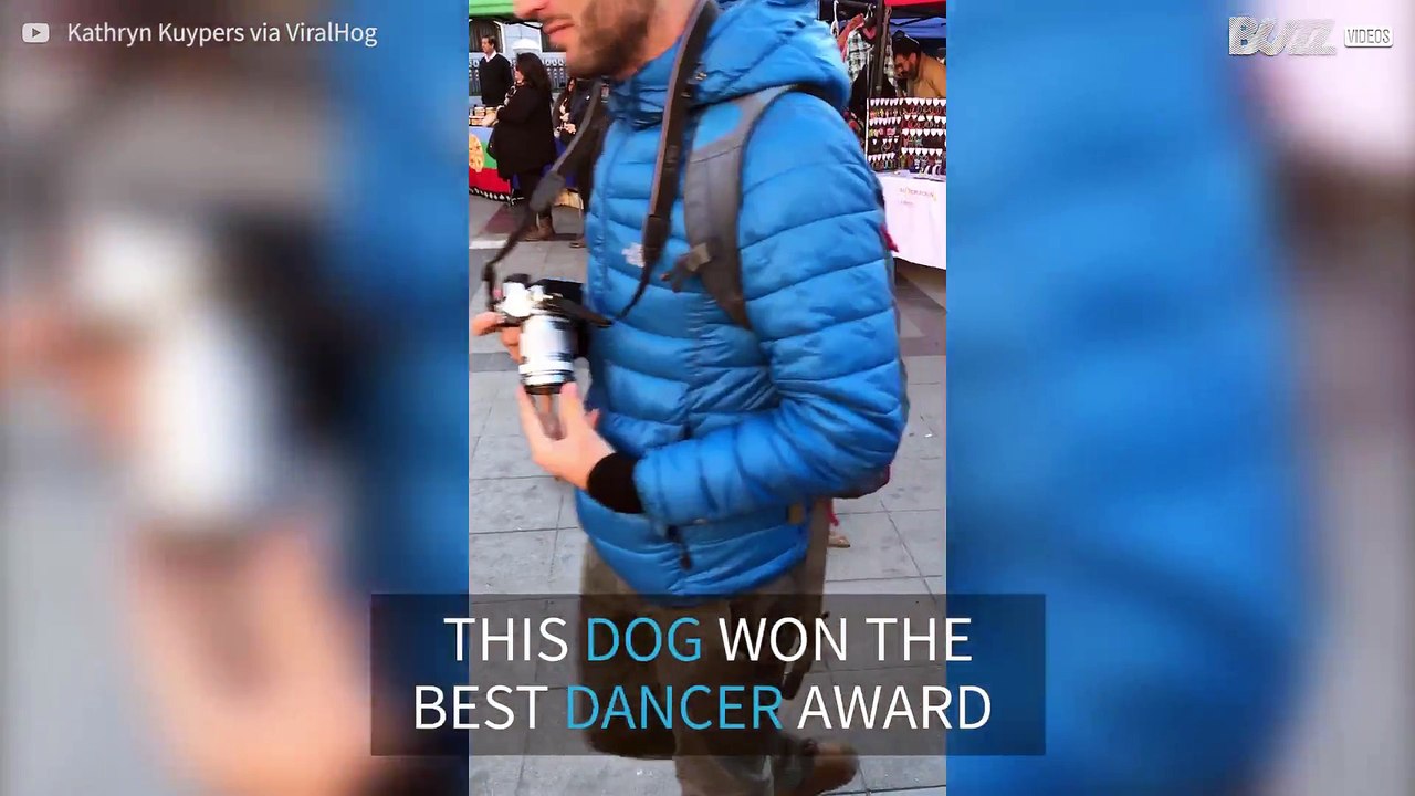 Dog dances to 'La Bamba'