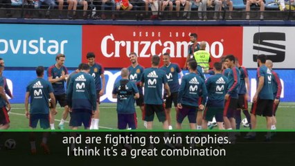 Spain have a great combination of players - Puyol