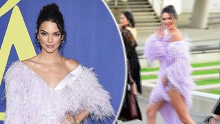 Kendall Jenner flaunts her supermodel pins as she rocks pink feather couture for CFDA Fashion Awards
