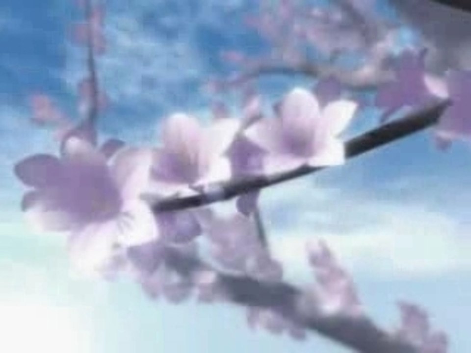 koimomo