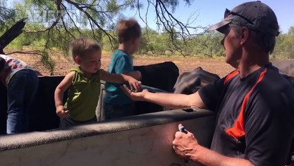 Cute Babies Love Farm Animals - TRY NOT TO LAUGH at This Funny Baby Fails Compil_HD