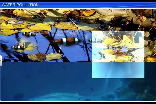 (4)CBSE Class 11 Chemistry, Environmental Chemistry – 4, Water Pollution