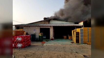 멸치 가공공장에서 불...2,600만 원 피해 / YTN