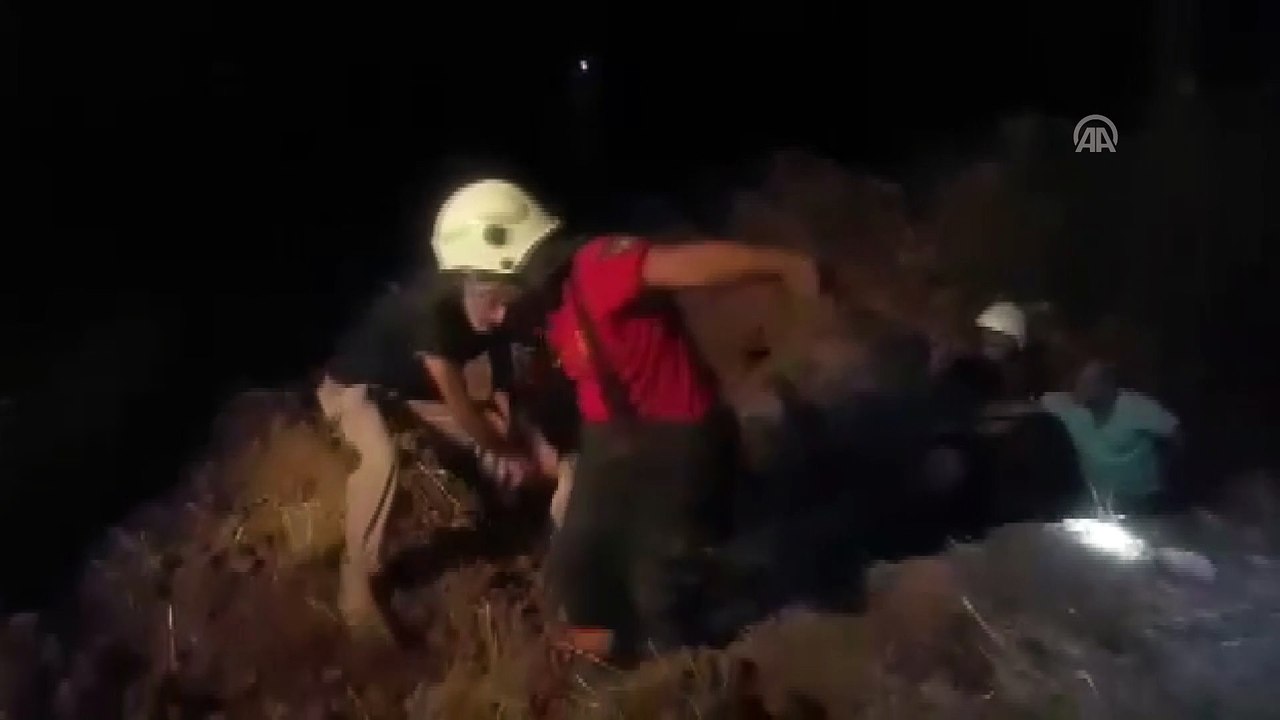 İneği kurtarmak için seferber oldular - ŞANLIURFA