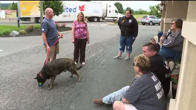 Bomb-Sniffing Dog, Handler Reunited After Service in Iraq