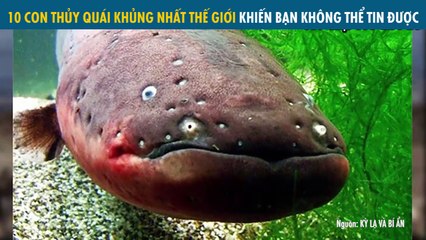 10 CON THỦY QUÁI KHỦNG NHẤT THẾ GIỚI KHIẾN BẠN KHÔNG THỂ TIN ĐƯỢC