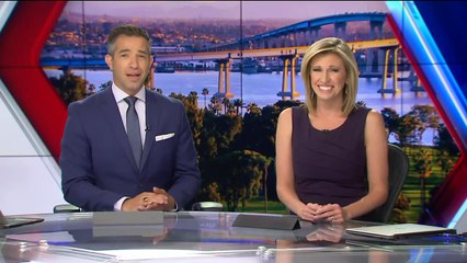 Sea Lion Gives Birth Along San Diego Bike Path