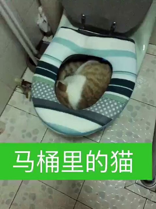 (1) JFOX 娛樂頻道 - Video_28
